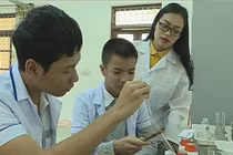 Thuốc diệt chuột từ hoa bông ổi