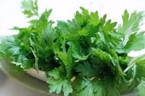 Cầm máu, sát khuẩn từ dược liệu tự nhiên