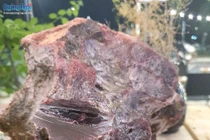 Không có loại đá nào phát ra mùi thơm