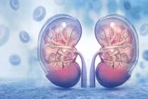 Dấu hiệu ung thư thận không nên bỏ qua