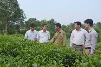 Hội Làm vườn Việt Nam phát động quyên góp ủng hộ Quỹ Văcxin phòng chống Covid-19