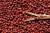 Đậu đỏ chữa viêm gan, viêm thận