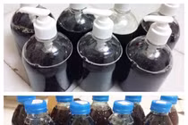 Dầu gội có nguy hiểm hay không?