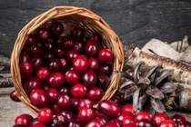 Ăn quả nam việt quất hàng ngày giúp cải thiện sức khỏe tim mạch