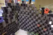 Tái chế vỏ hộp sữa thành chậu trồng cây