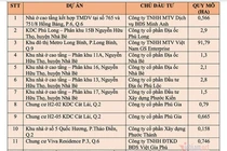 TPHCM rà soát 24 dự án có nguồn gốc đất do Nhà nước trực tiếp quản lý