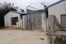 Trại lợn nghìn con "trên đầu" Nhà máy nước sông Đà xả thải đi đâu?