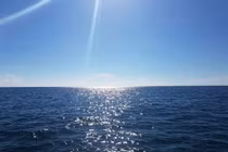 Nguồn gốc màu nước biển