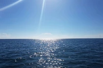 Nguồn gốc màu nước biển