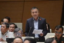 Không thể dùng lòng tốt để khắc phục hậu quả lũ lụt