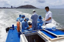 Bộ Giao thông đề nghị bỏ cách ly y tế 2 lần đối với thuyền viên