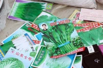 Hạt giống trôi nổi khó nảy mầm