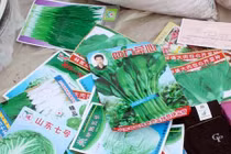 Hạt giống trôi nổi khó nảy mầm