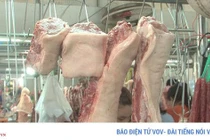 Giá thịt lợn đã chững và bắt đầu xu hướng giảm