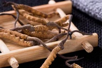 Đông trùng hạ thảo không quý như ta tưởng 