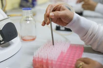 Chiều 1/5 không thêm ca nhiễm nCoV