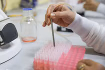 Chiều 1/5 không thêm ca nhiễm nCoV