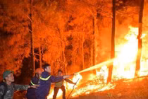 Hà Tĩnh: Đã dập tắt hoàn toàn cháy rừng tại Nghi Xuân