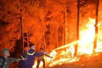 Hà Tĩnh: Đã dập tắt hoàn toàn cháy rừng tại Nghi Xuân