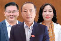 Cam kết của các doanh nhân nếu tham gia nghị trường Quốc hội