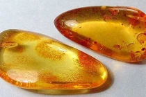 Nhuộm màu hổ phách bằng hơi nước