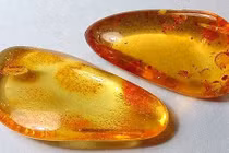 Nhuộm màu hổ phách bằng hơi nước