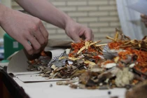 Nhận biết tính vị thuốc tránh tai biến