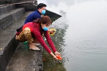 Phong tục thả cá chép ngày 23 tháng Chạp: Nét văn hóa của người Việt