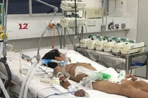 Việt Nam đã có 21 người mắc bạch hầu, nguyên nhân từ đâu?