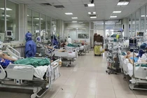 Đưa 2.000 liều thuốc kháng thể kép vào điều trị bệnh nhân COVID-19 nặng