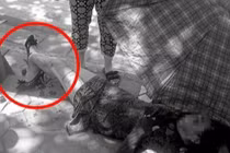 Người phụ nữ bị gãy gập chân vì áo chống nắng cuốn vào bánh xe máy