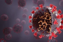 Phát hiện biến chủng mới, kết hợp giữa Omicron và Delta