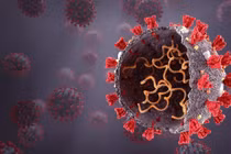 Phát hiện biến chủng mới, kết hợp giữa Omicron và Delta