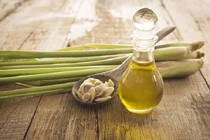  Diệt muỗi bằng tinh dầu