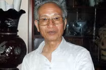 Bất khả kháng mới phải chặt bỏ cây