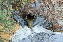 Nghệ An: Người dân kịch liệt phản đối, trại lợn chỉ bị phạt 320 triệu đồng