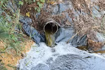 Nghệ An: Người dân kịch liệt phản đối, trại lợn chỉ bị phạt 320 triệu đồng