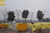 Chất thải y tế từ dịch Covid-19 ở Vũ Hán được xử lý như thế nào?