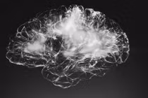 Sáng kiến đột phá trong nhận dạng hình ảnh của Máy học