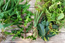 Ngày mới với tin tức sức khỏe: Xông gì để giảm các triệu chứng Covid-19?