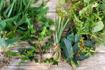 Ngày mới với tin tức sức khỏe: Xông gì để giảm các triệu chứng Covid-19?