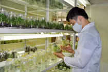 Bàn giải pháp tăng cường ứng dụng KH&CN vùng nông thôn miền núi và dân tộc thiểu số