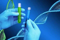 Ý nghĩa của ADN ty thể trong giám định gene