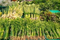 Phá môi trường vì gói thực phẩm bằng lá chuối?