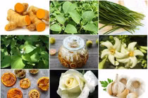 Đông y trị chứng khó thở và ho       