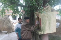 Những đồn thổi lạ về cây duối thời Lý