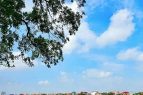 Vĩnh Phúc chỉ định thầu dự án Khu dân cư thương mại và dịch vụ làng nghề Thanh Lãng