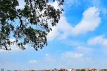 Vĩnh Phúc chỉ định thầu dự án Khu dân cư thương mại và dịch vụ làng nghề Thanh Lãng