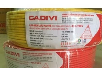 Cadivi: Tốt vay, dày nợ, thiếu tiền