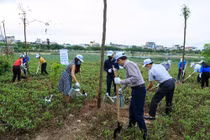 Hoạt động trồng cây hưởng ứng Tháng hành động vì môi trường 2021. 